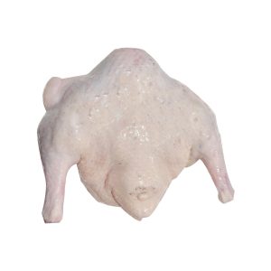 Gà Vịt Bình Dương (3)