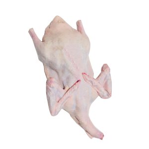 Gà Vịt Bình Dương (4)