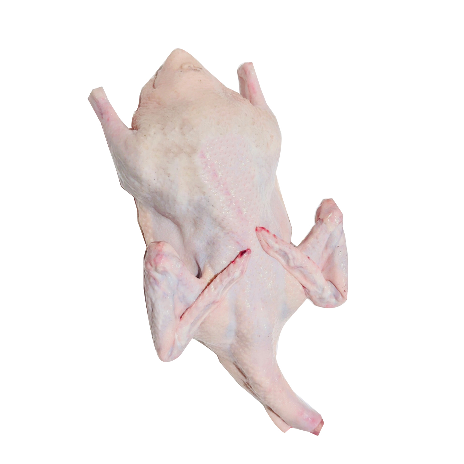 Gà Vịt Bình Dương (4) Gà Vịt Bình Dương (4)