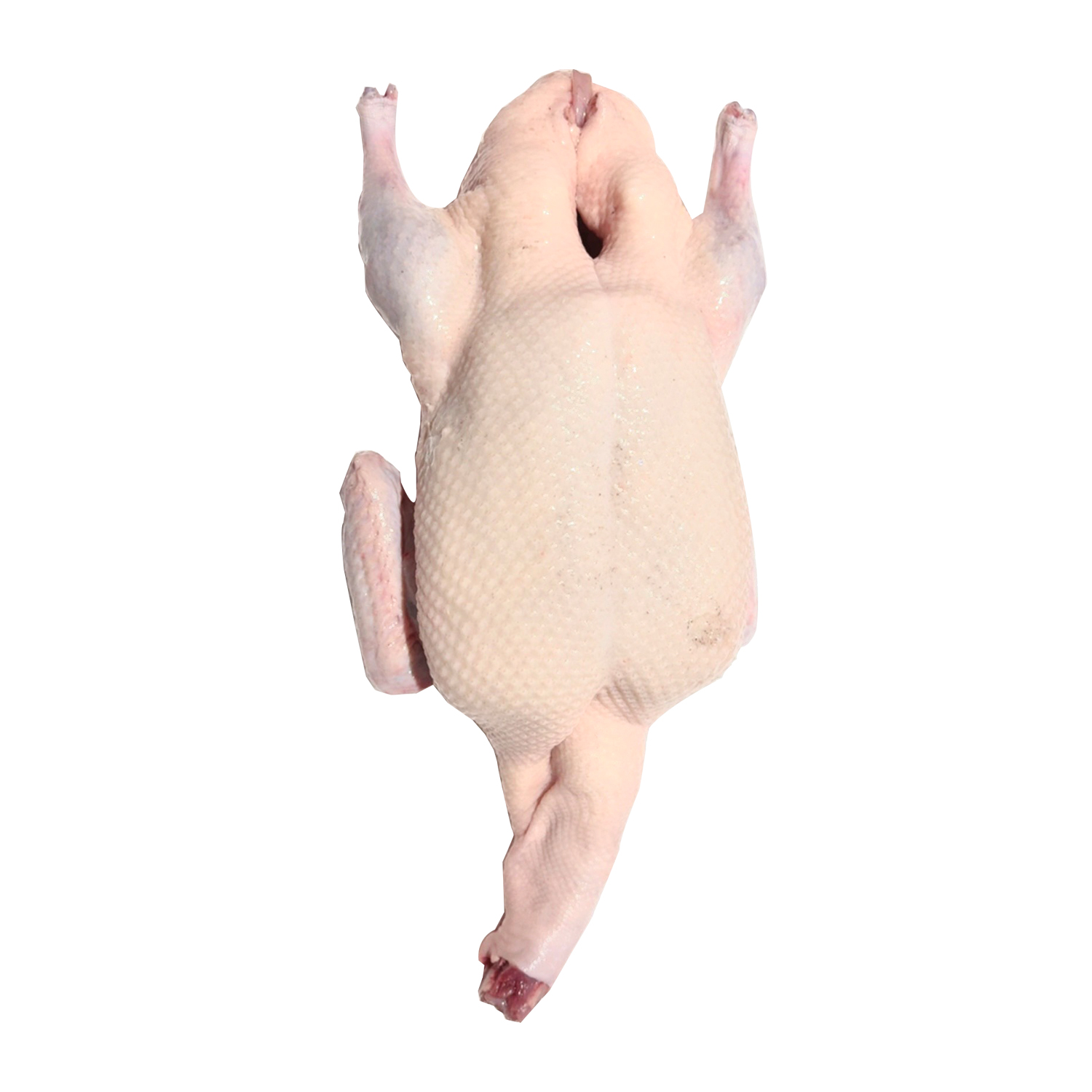 Gà Vịt Bình Dương (5) Gà Vịt Bình Dương (5)