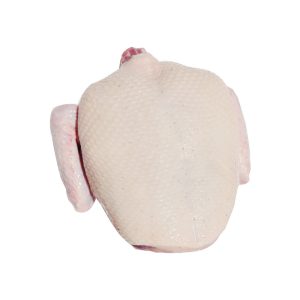 Gà Vịt Bình Dương (6)