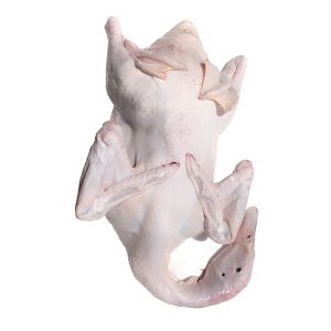 Gà Vịt Bình Dương (7)